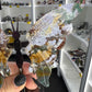Ocean Jasper Butterfly