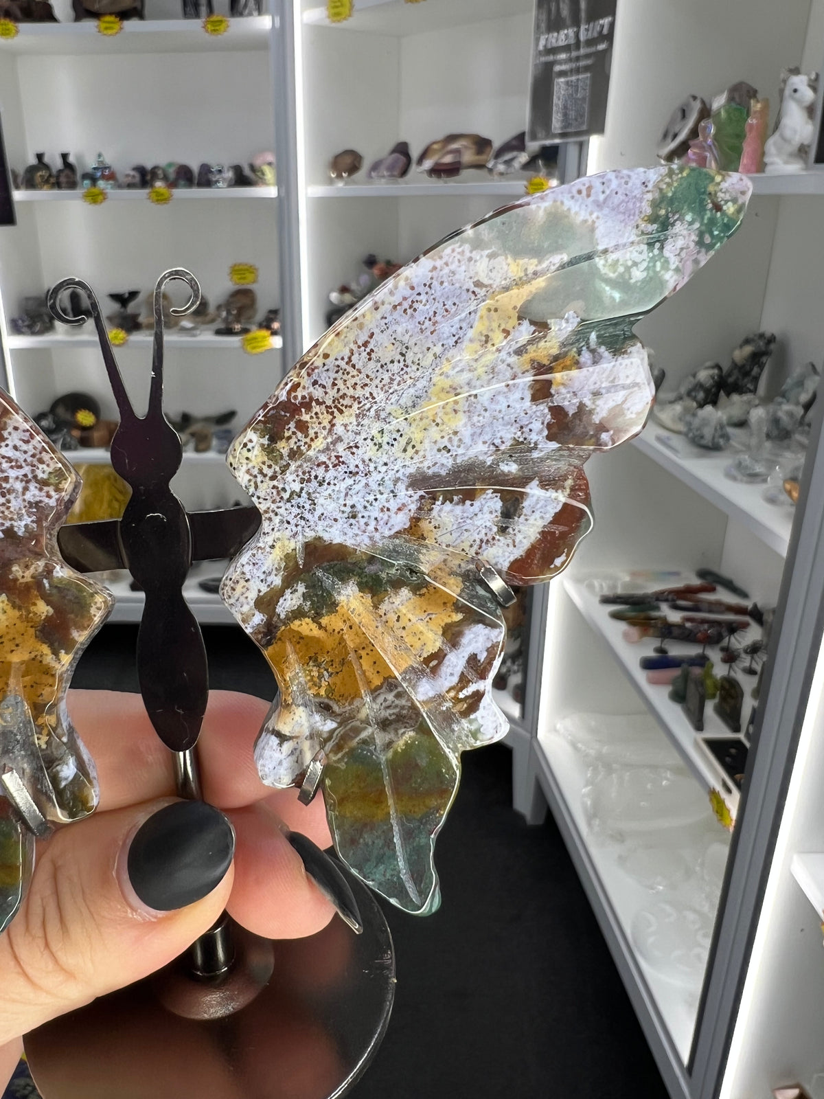 Ocean Jasper Butterfly