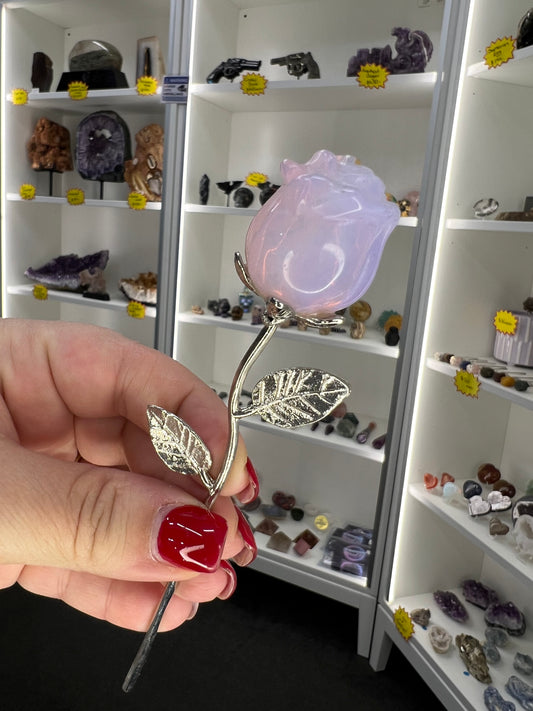 Pink Opalite Forever Rose