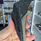 Megalodon Tooth
