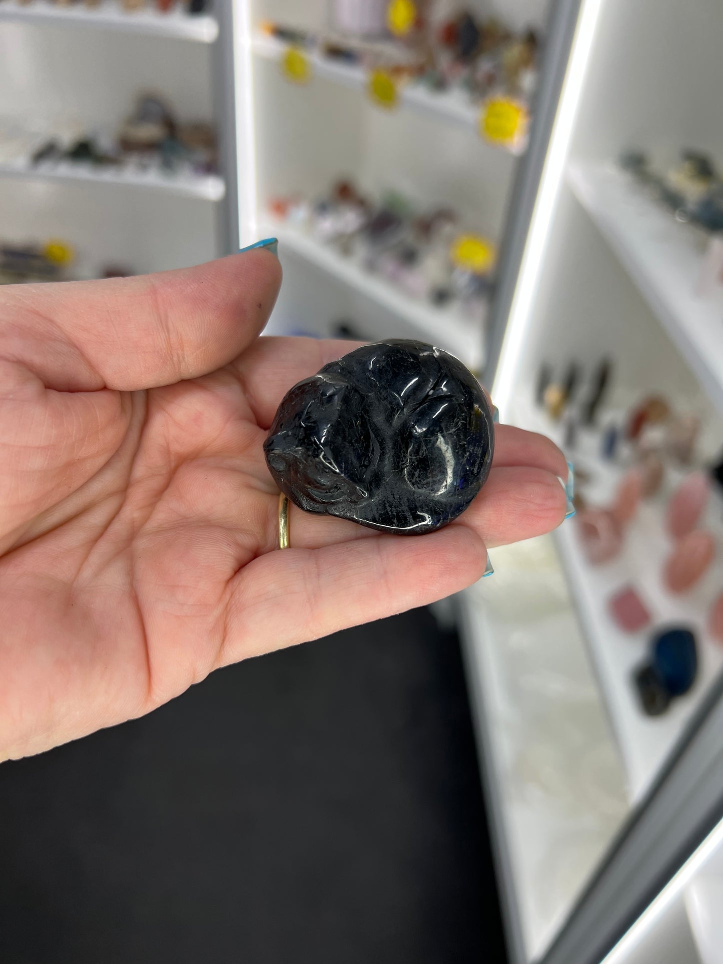 Black Tourmaline Sleeping Cat