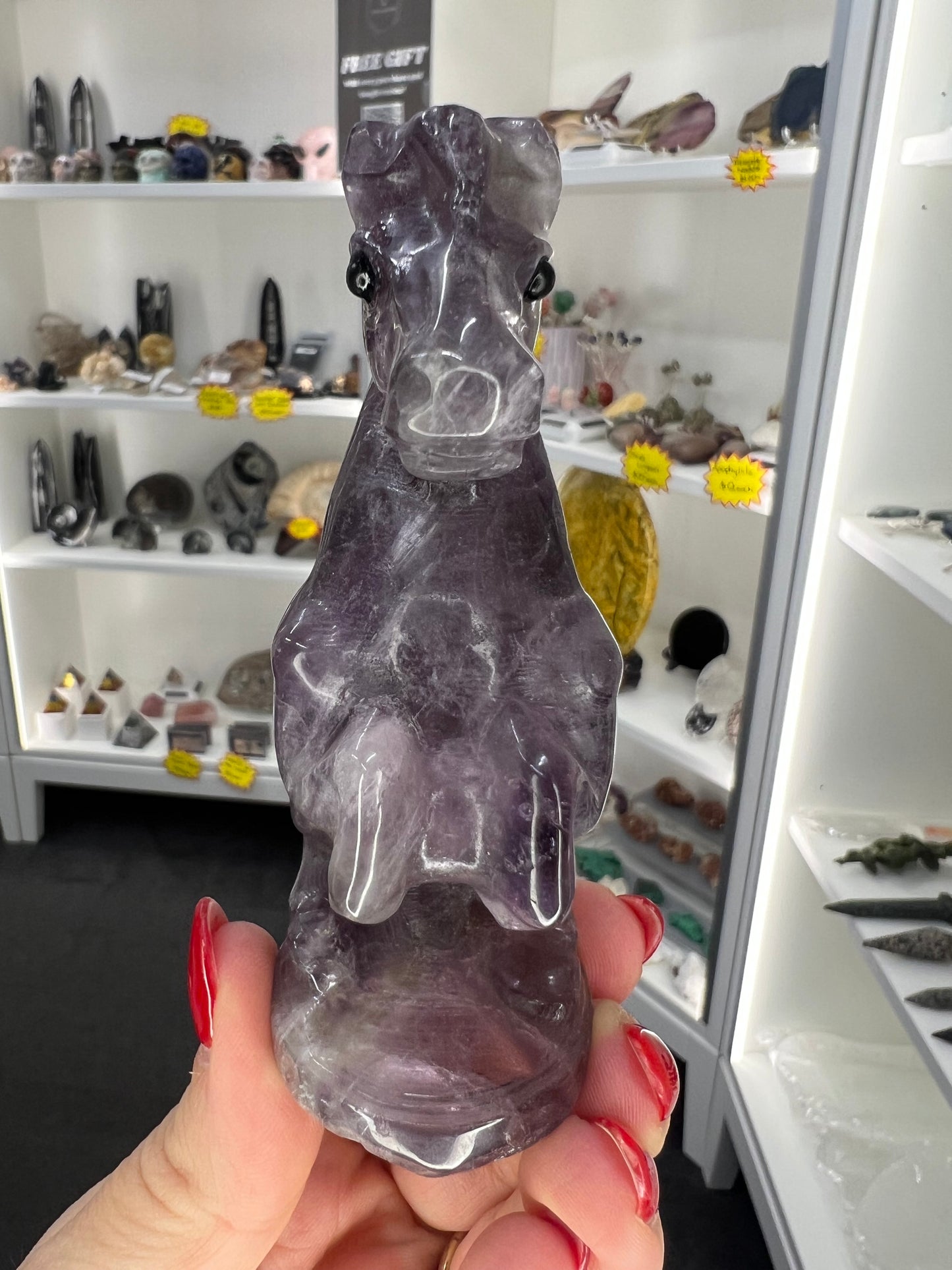 Amethyst Horse