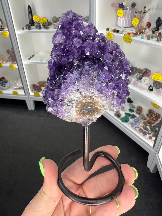 Amethyst Cluster on Stand