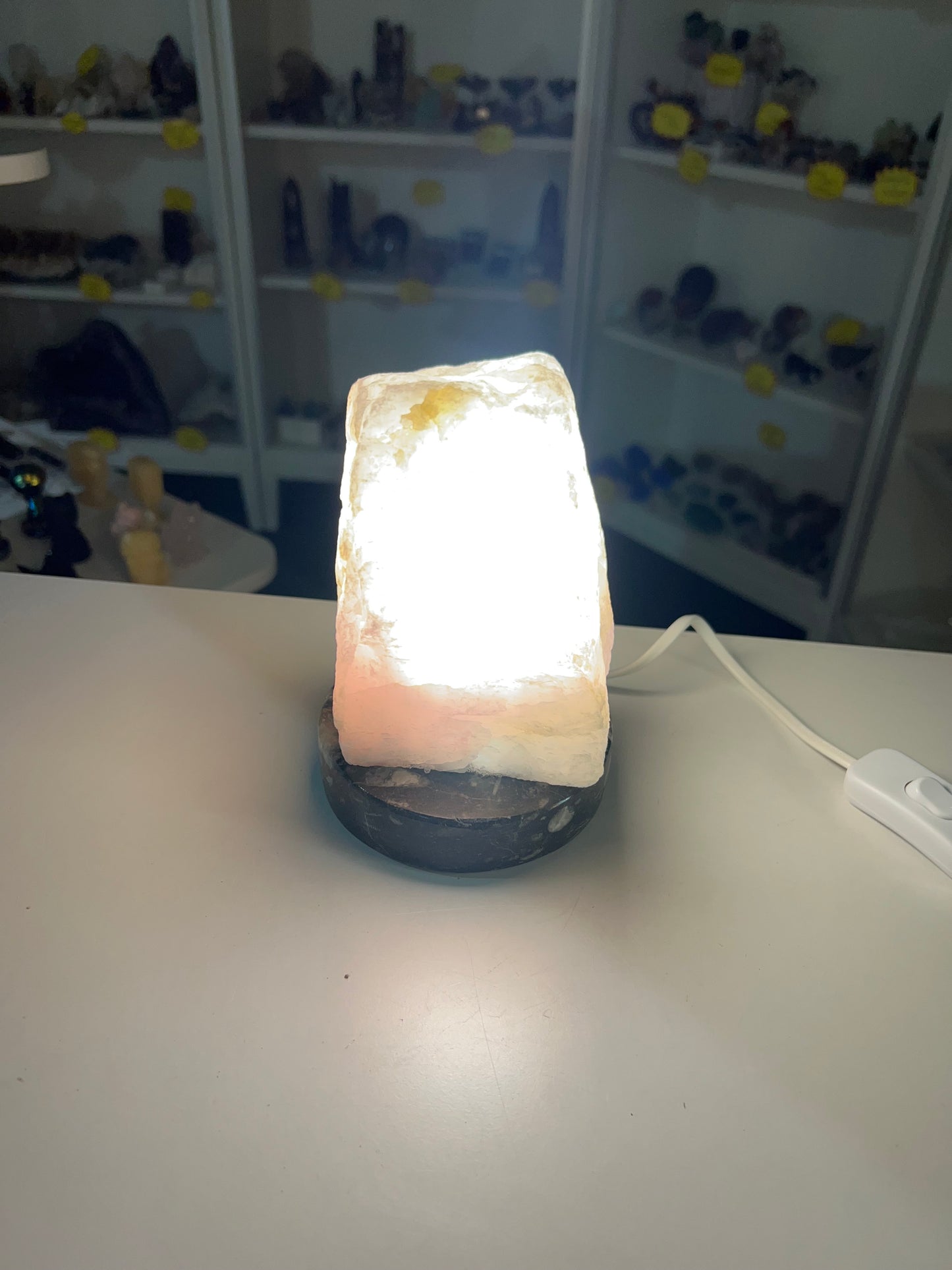 Rose Quartz Lamp on Fossil Orthoceras Base