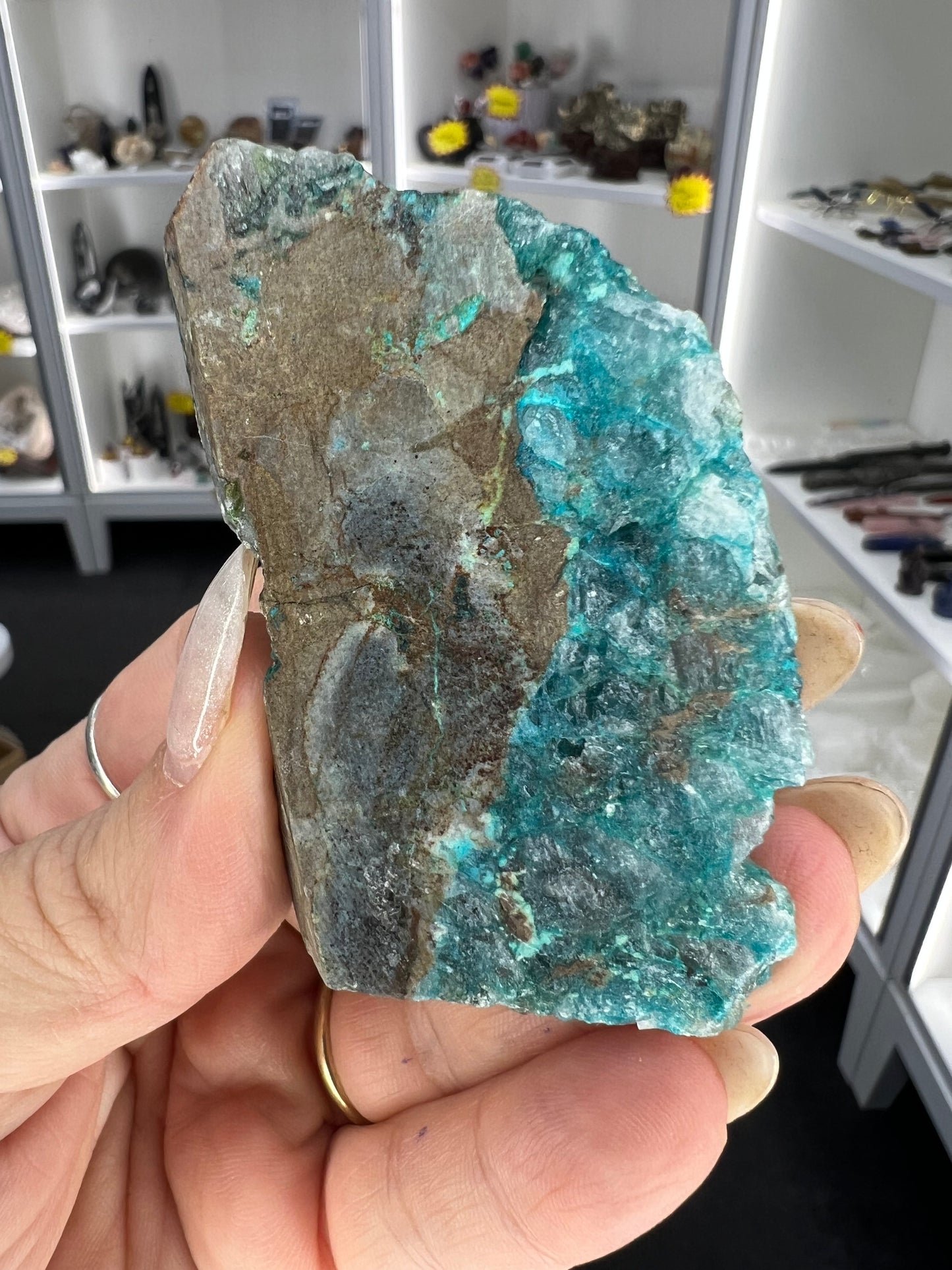 Chrysocolla Little Guy