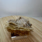 Gypsum / Selenite Specimen