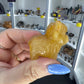 Golden Healer Highland Cow