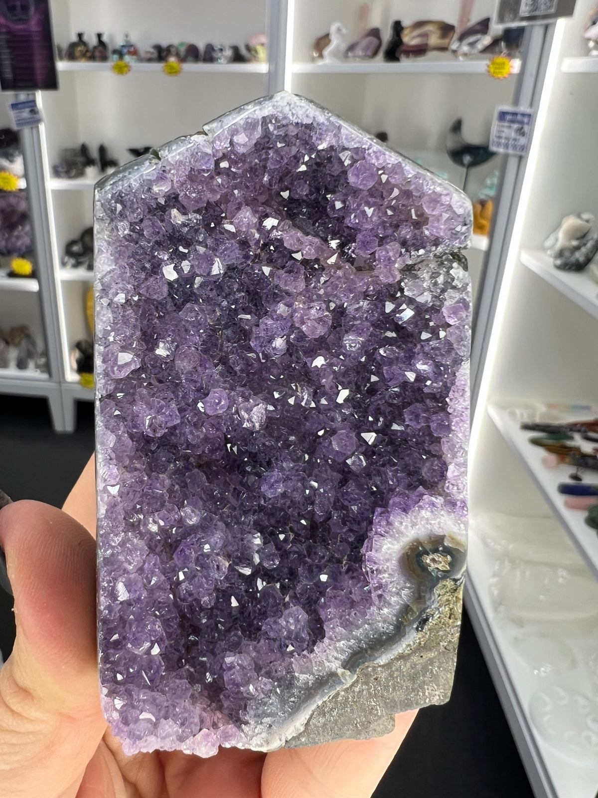 Amethyst Cluster Specimen