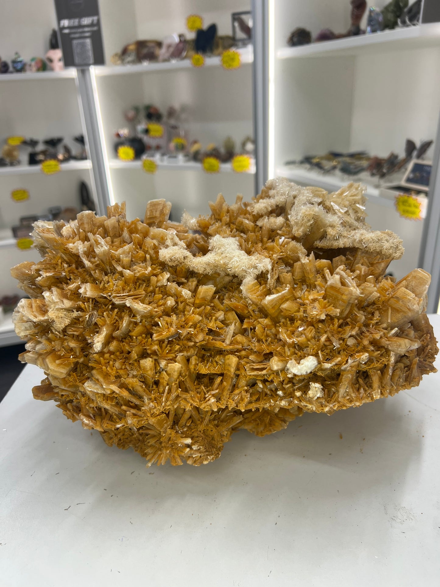 Huge Gypsum Specimen
