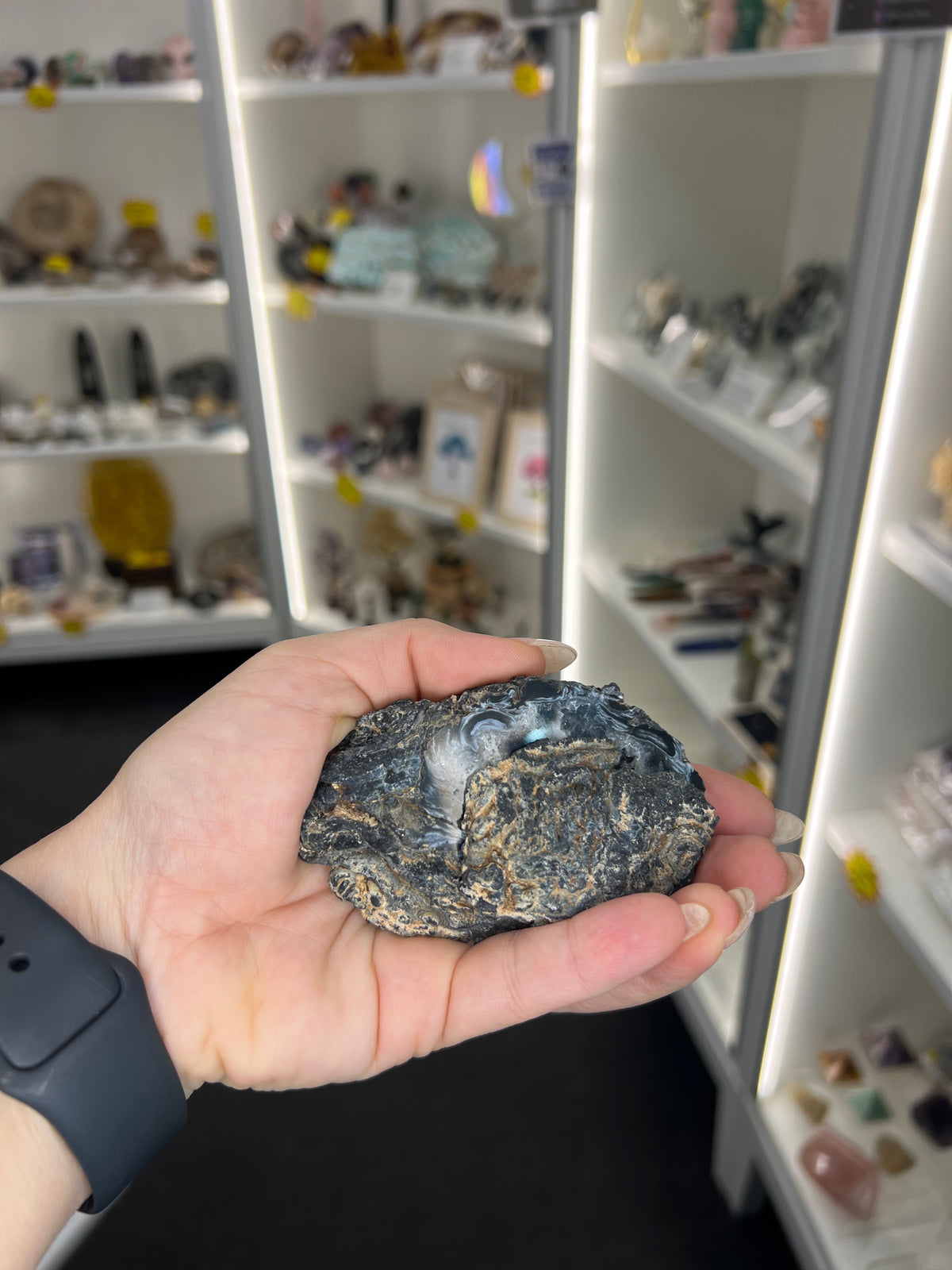 Mexican Agate Geode