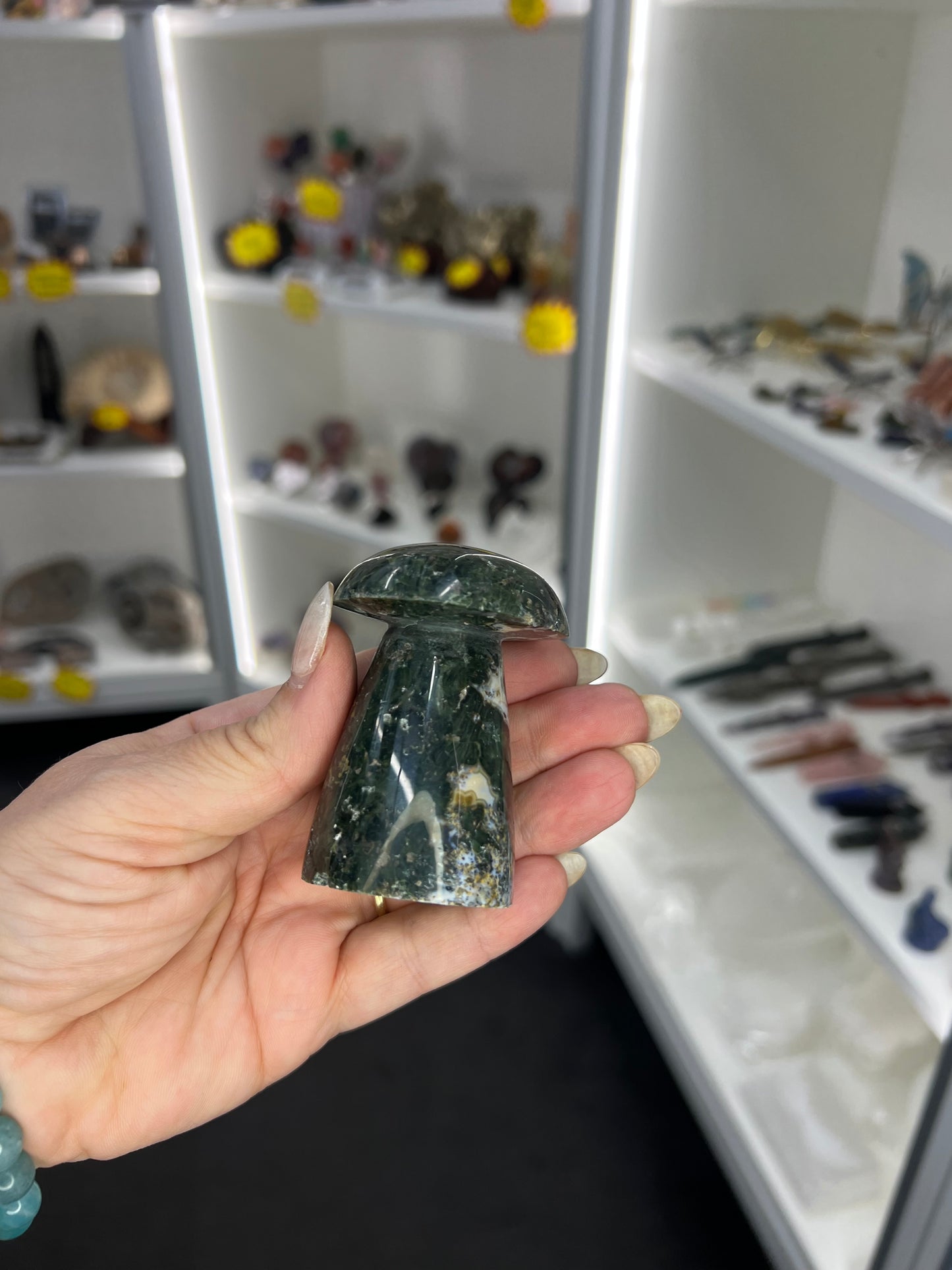 Ocean Jasper Mushroom