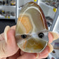 Sardonyx Little Guy