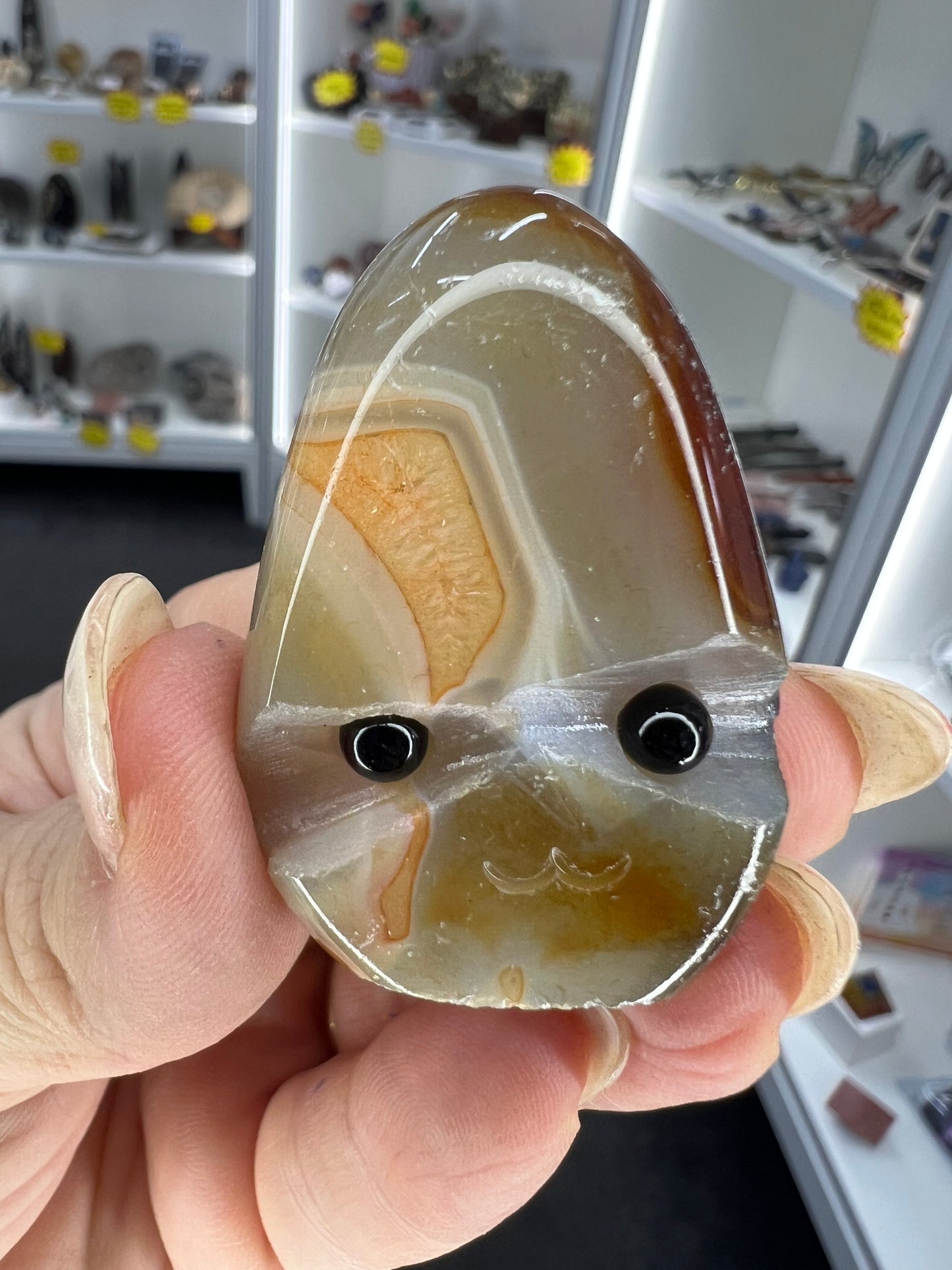 Sardonyx Little Guy