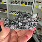 Shell Dragon Head