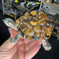 Tiger Eye Turtle