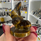 Tigers Eye Character