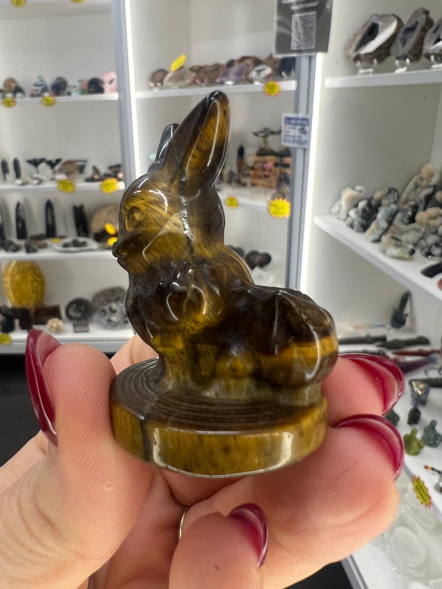 Tigers Eye Character