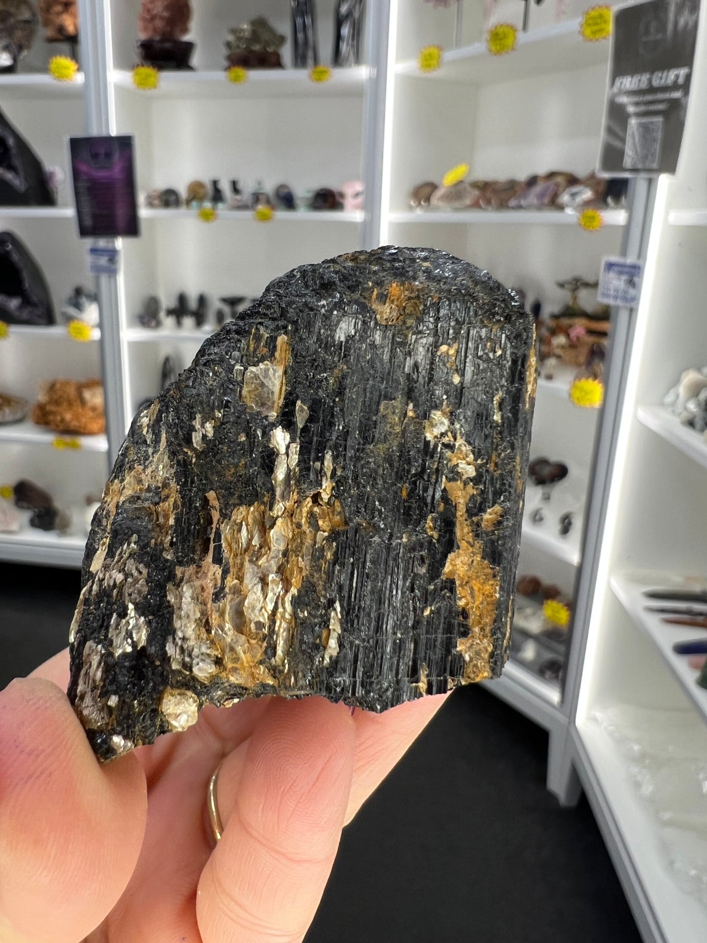 Black Tourmaline with Golden Mica Specimen