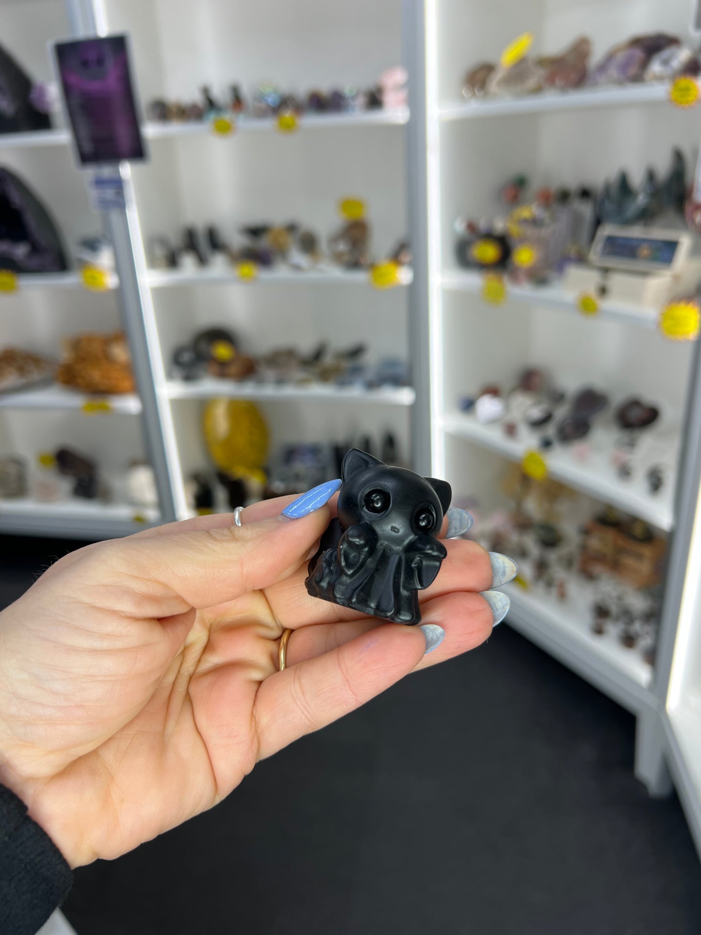 Black Obsidian Ghost Cat