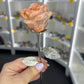 Pink Agate Forever Rose