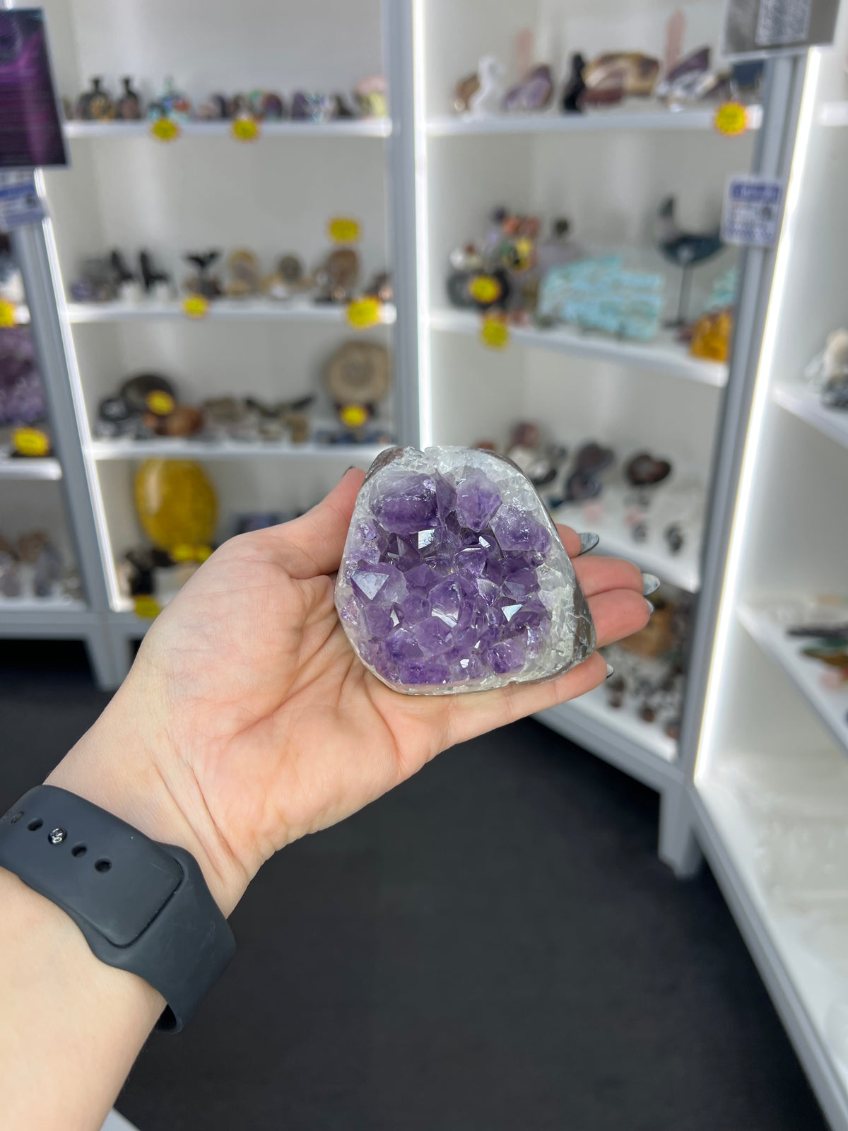 Amethyst Cluster Specimen