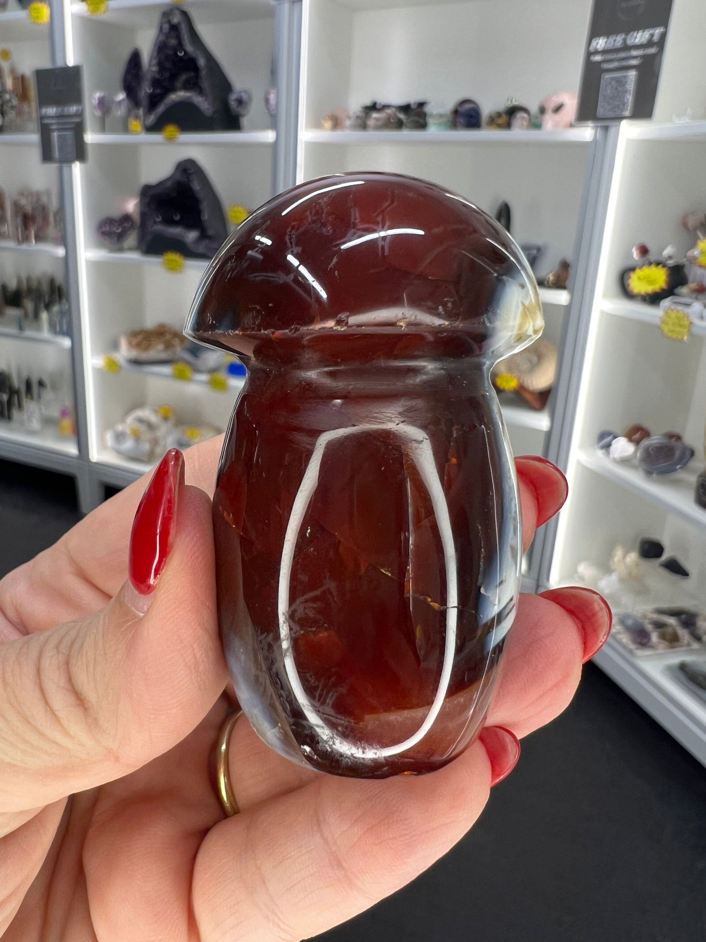 Carnelian Mushroom