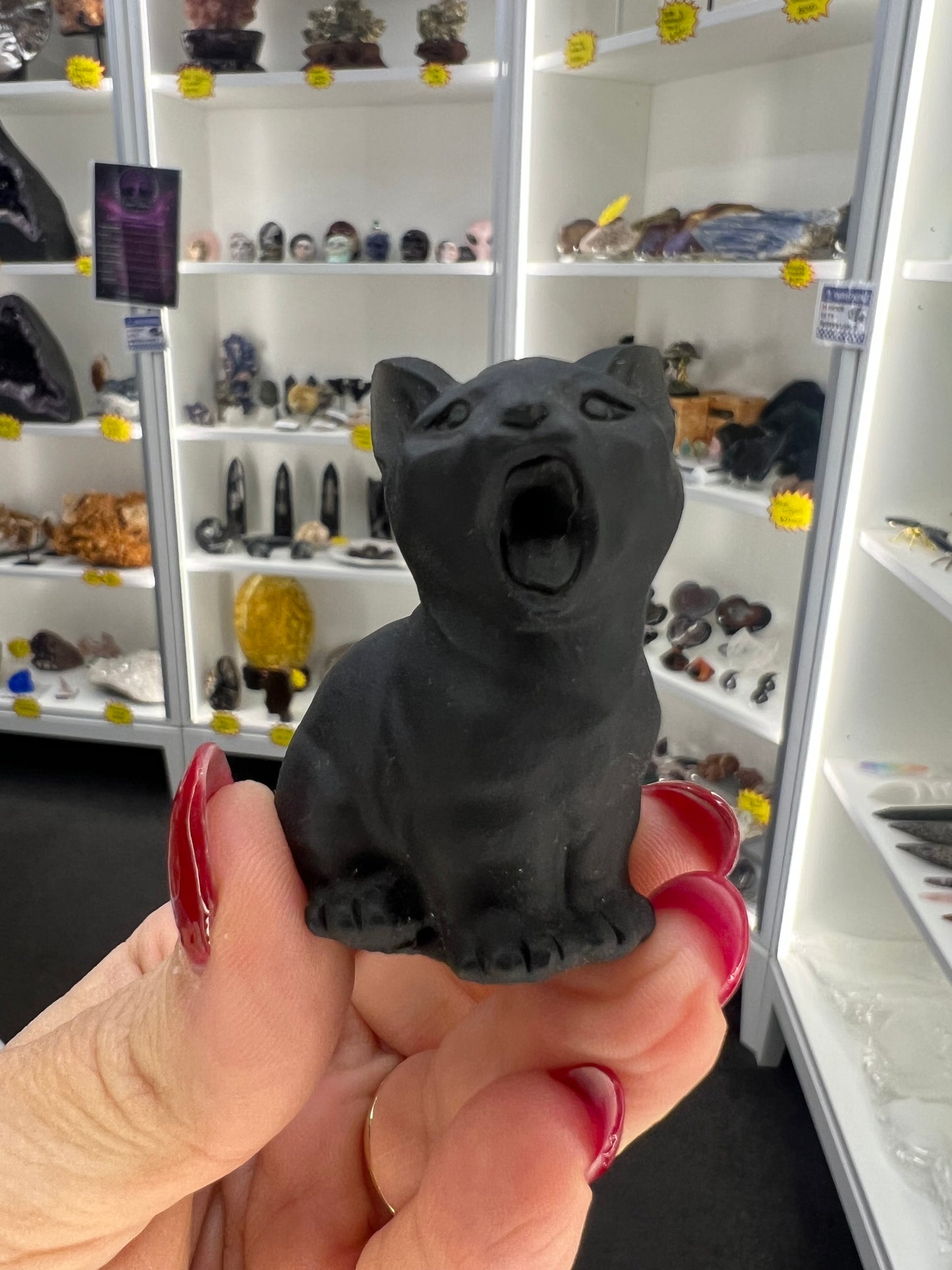 Black Obsidian Cat