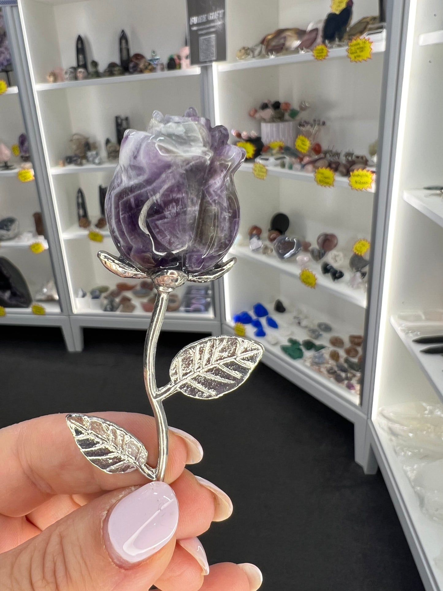 Chevron / Dream Amethyst Forever Rose