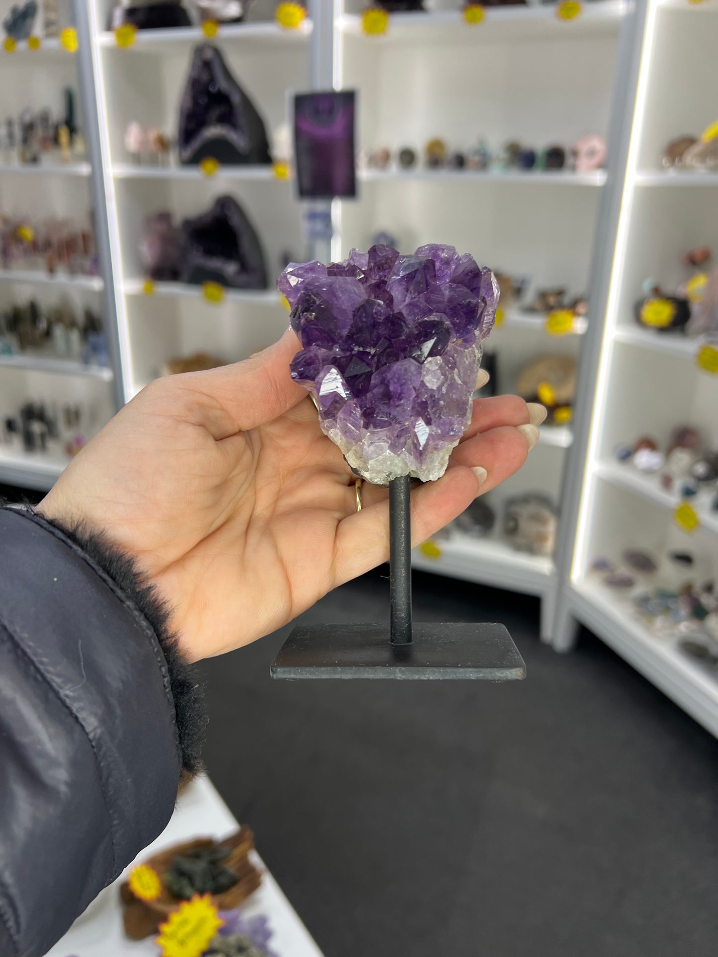 Amethyst Cluster Specimen on Stand
