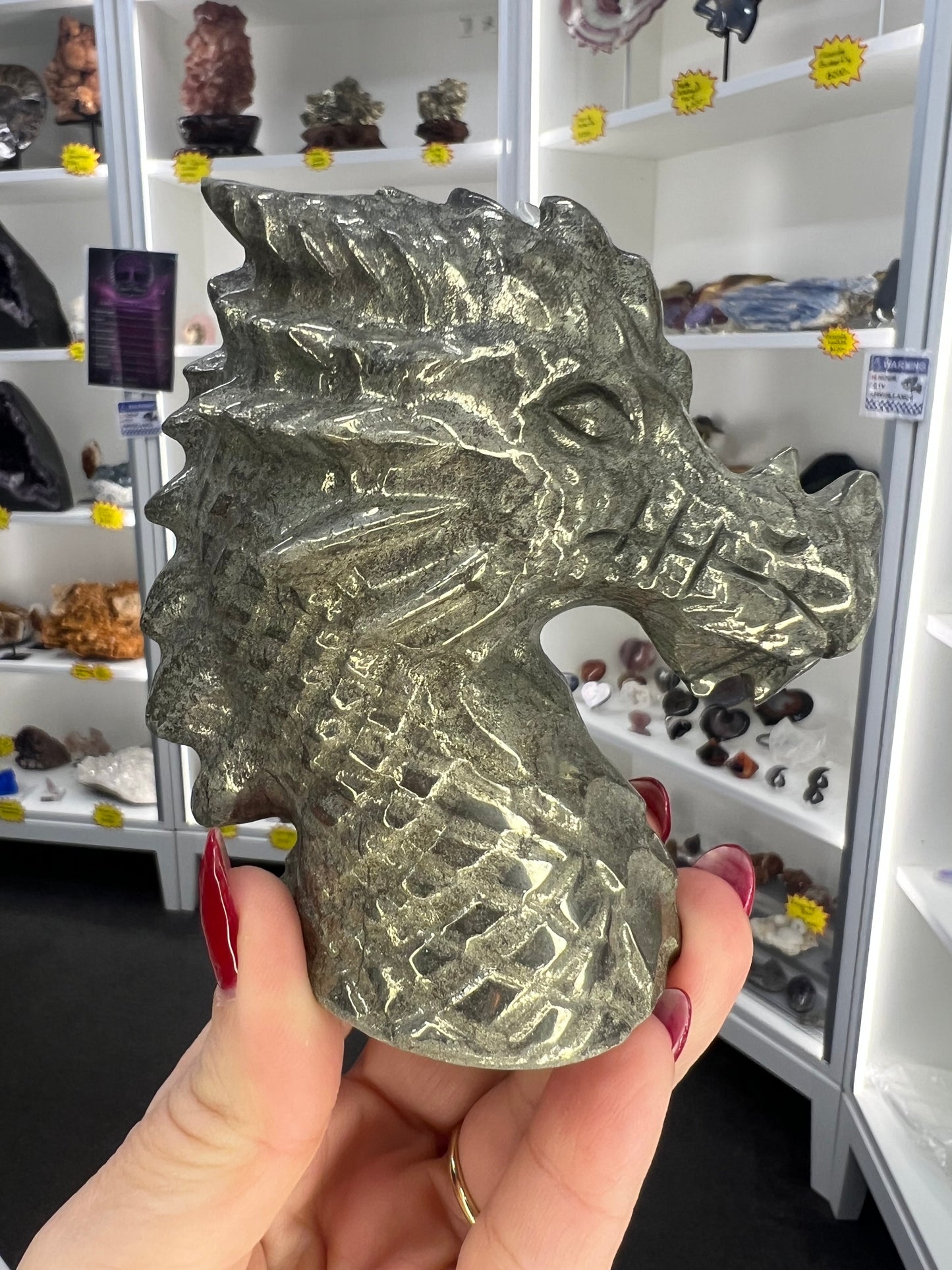Pyrite Dragon Head