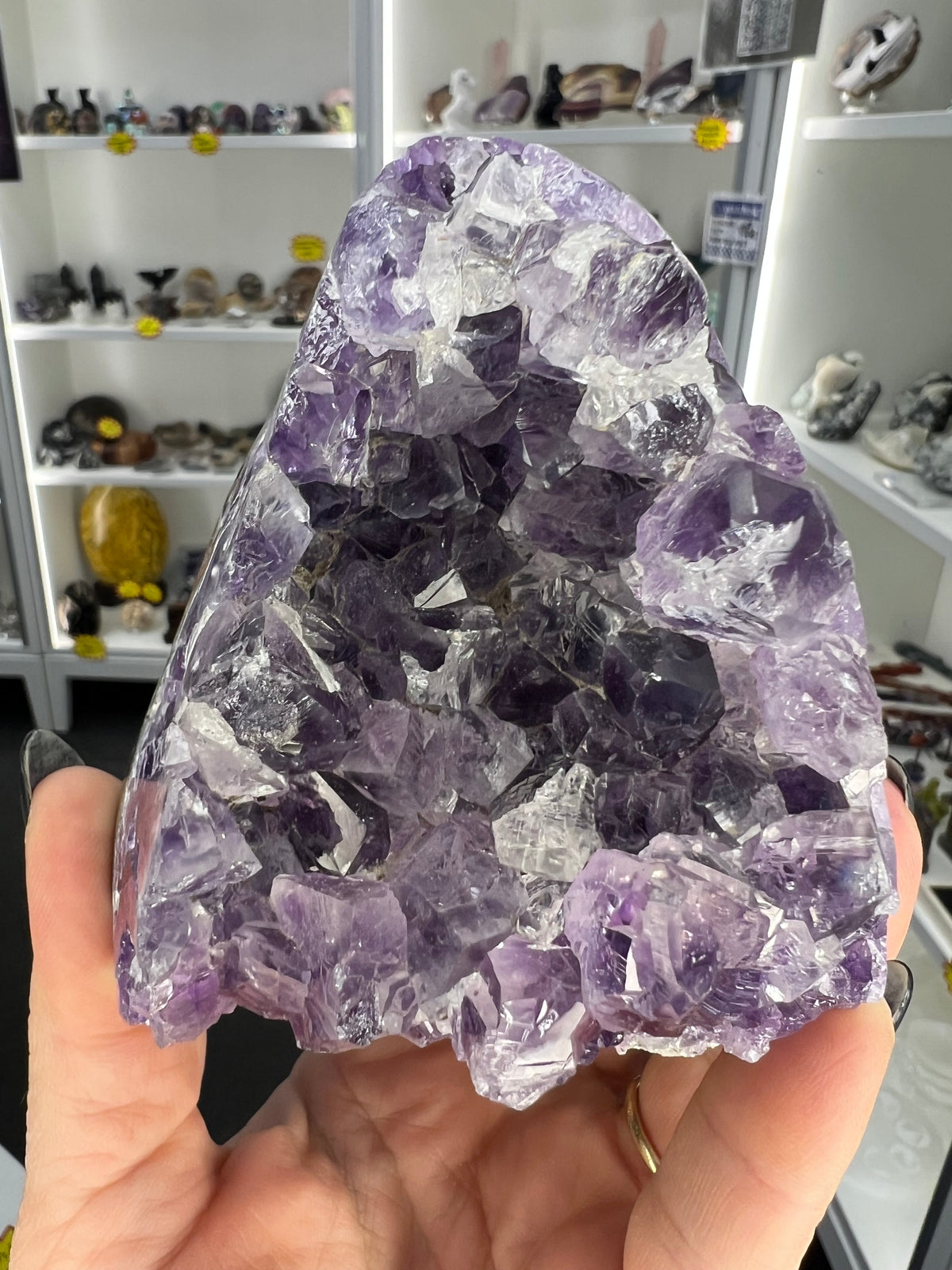 Amethyst Cluster Specimen