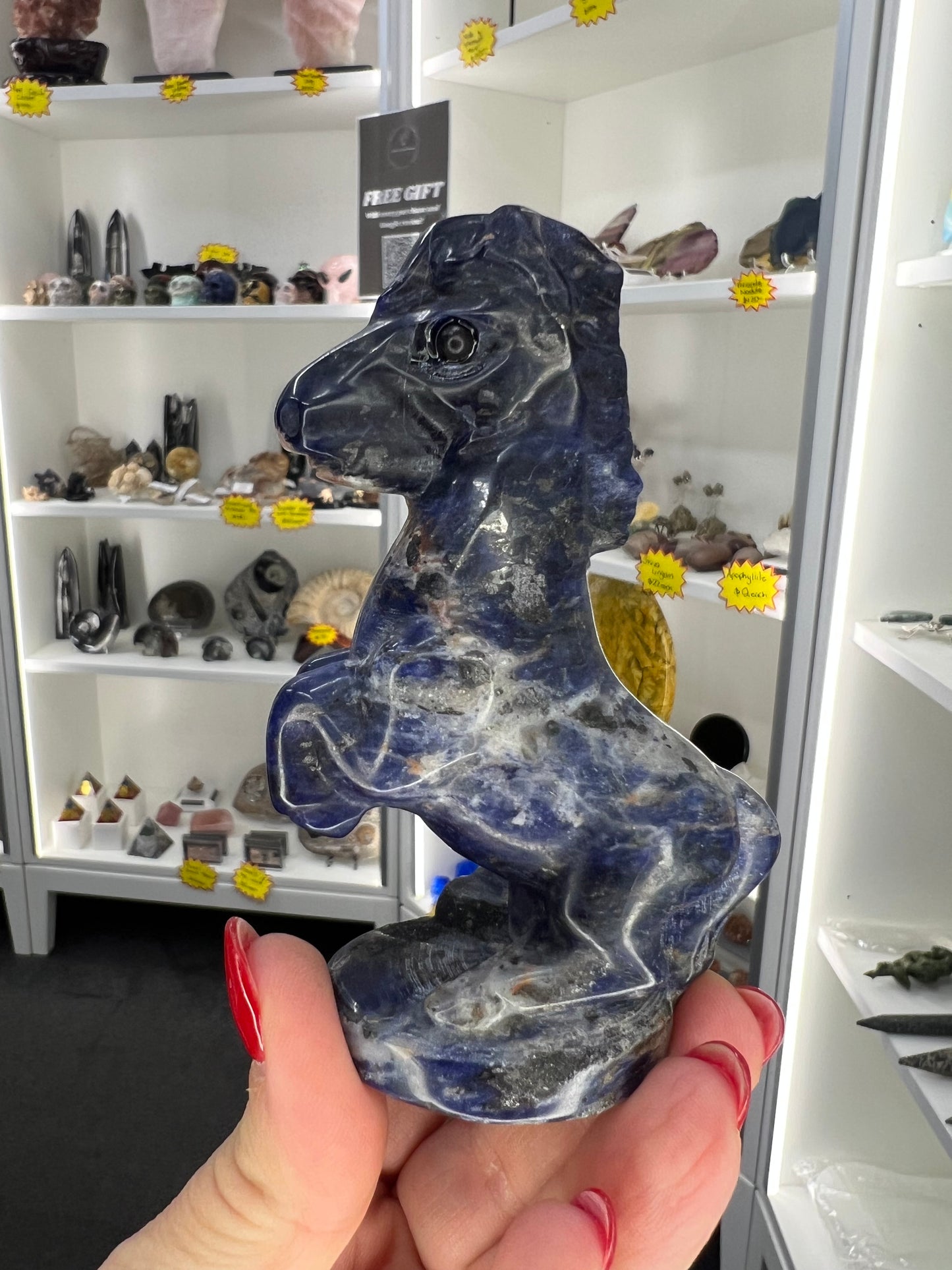 Sodalite Horse