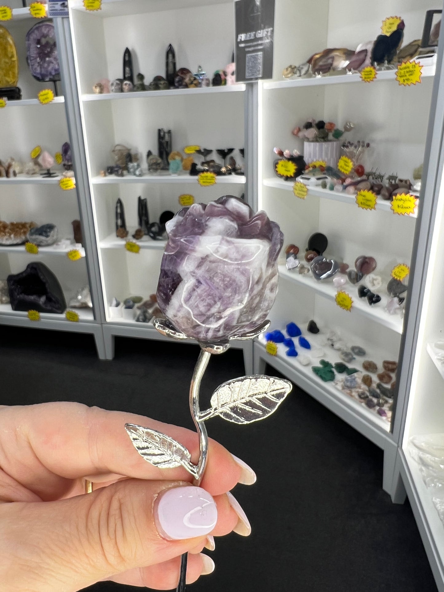 Chevron / Dream Amethyst Forever Rose