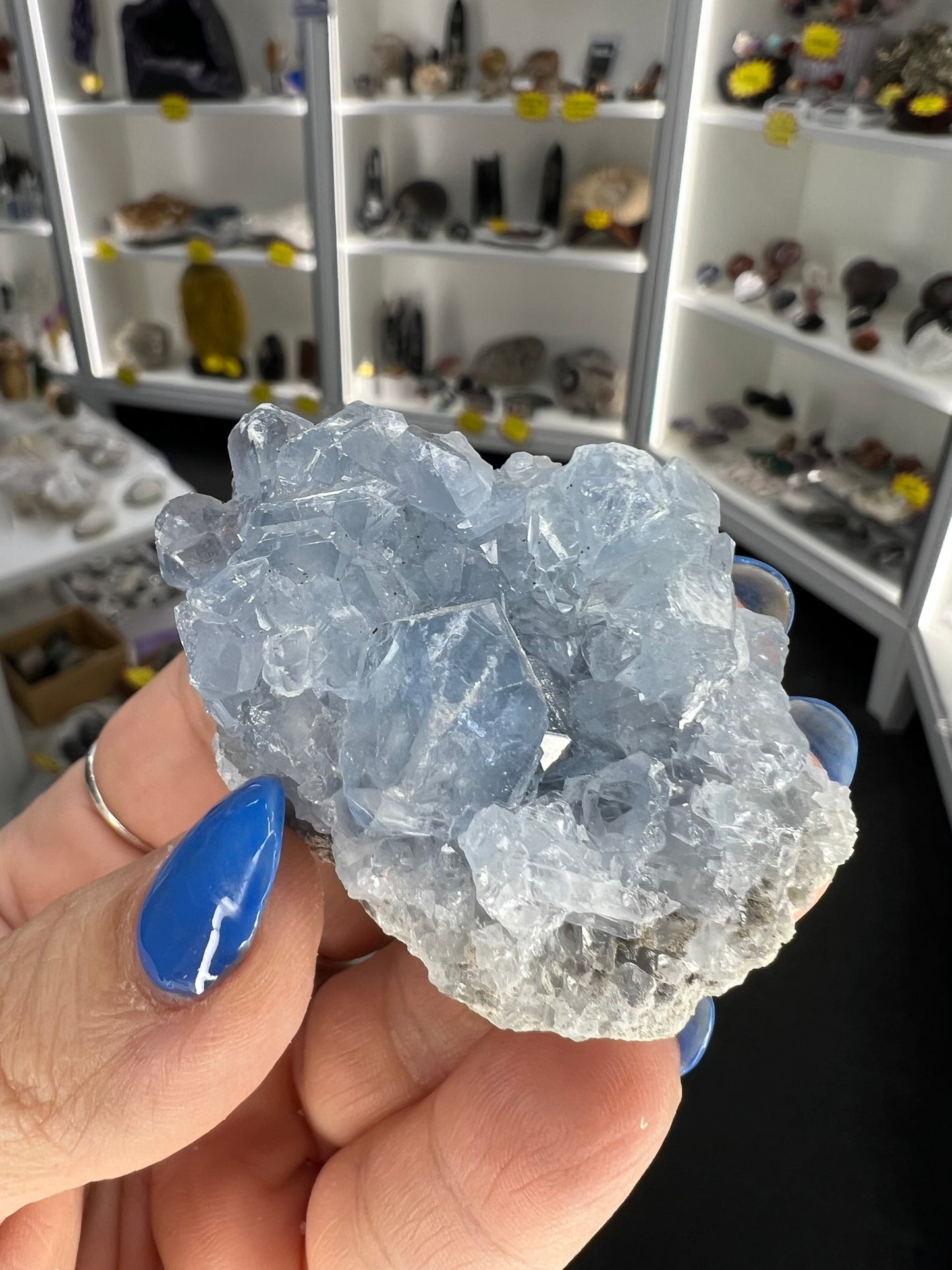 Celestite Cluster Specimen