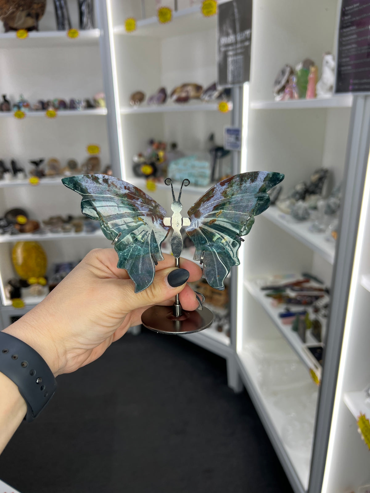 Ocean Jasper Butterfly