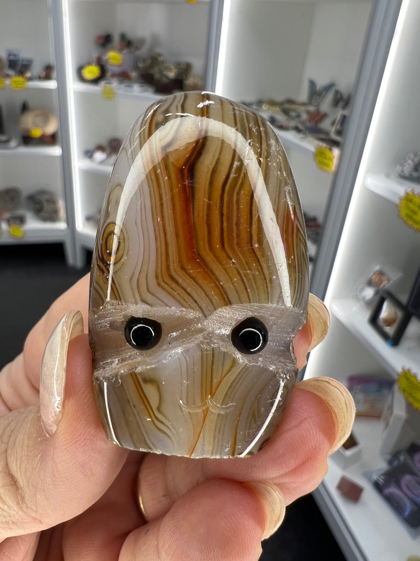 Sardonyx Little Guy