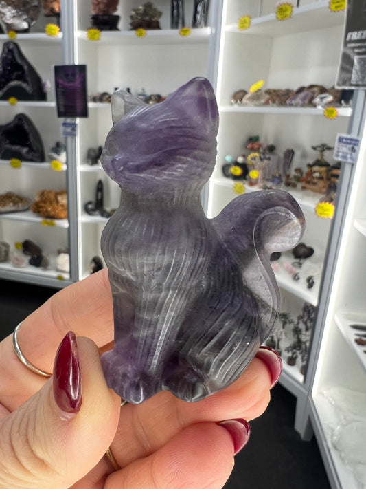 Chevron / Dream Amethyst Cat
