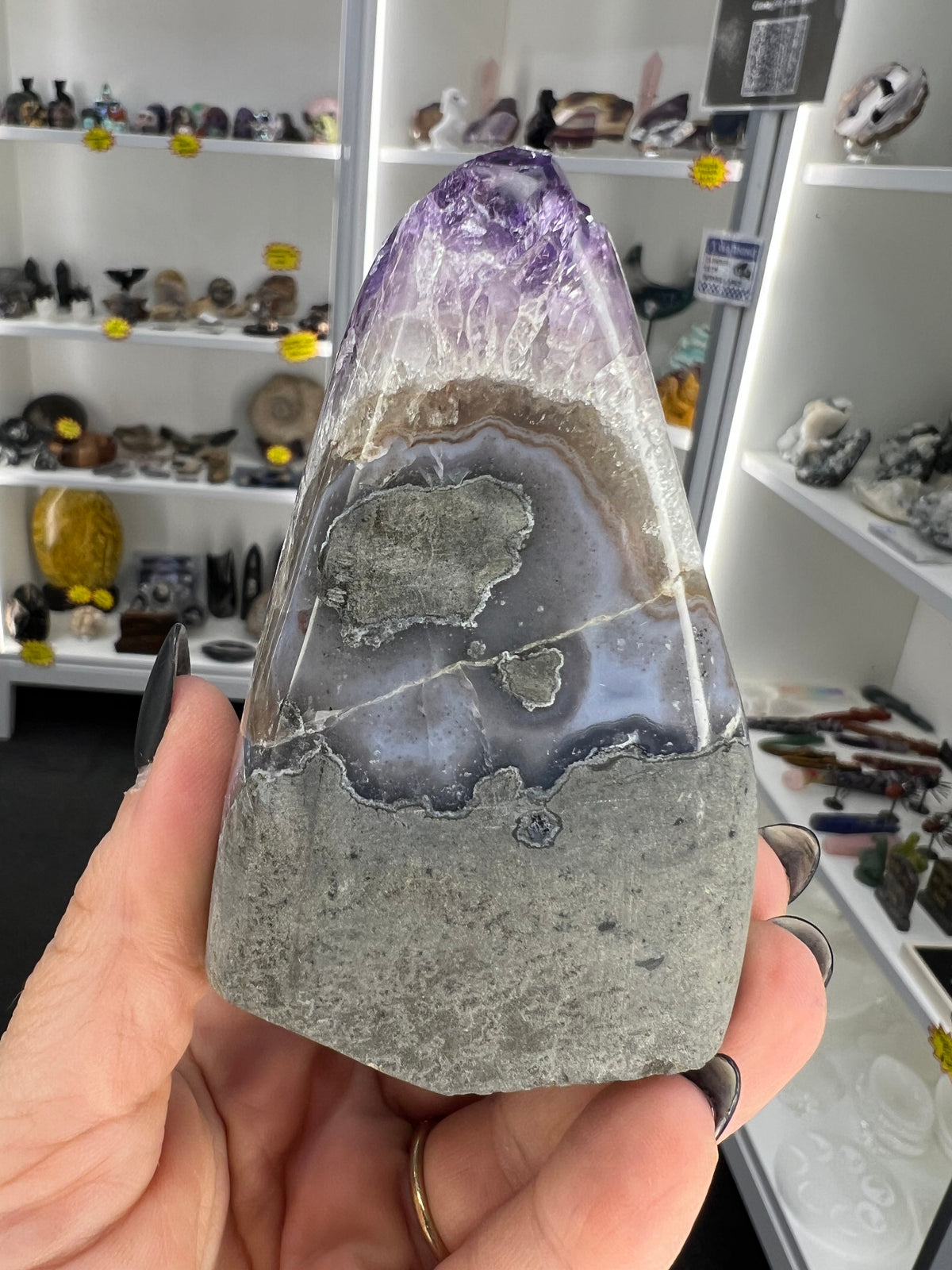 Amethyst Cluster Specimen