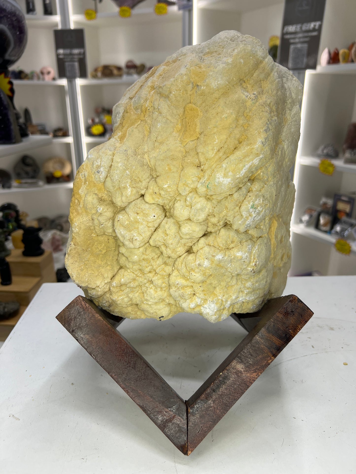 Quartz Geode on Timber Stand