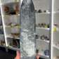 Orthoceras Totem