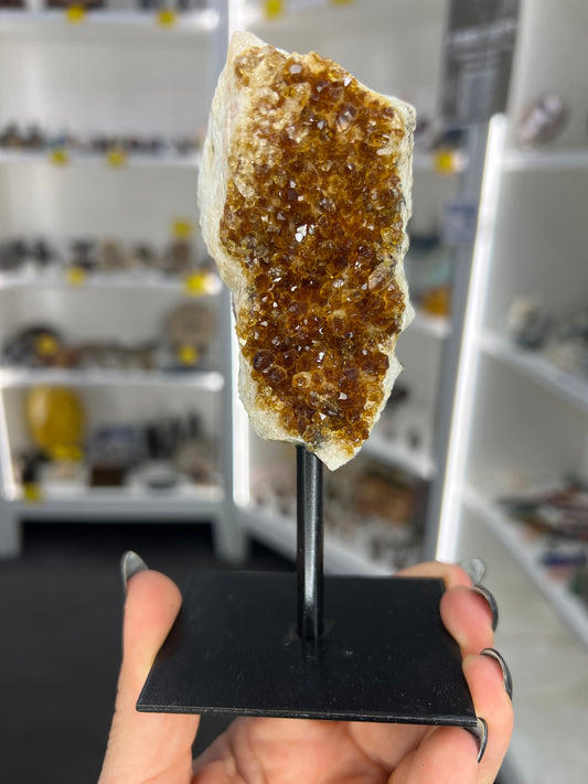 Citrine Cluster Specimen on Stand