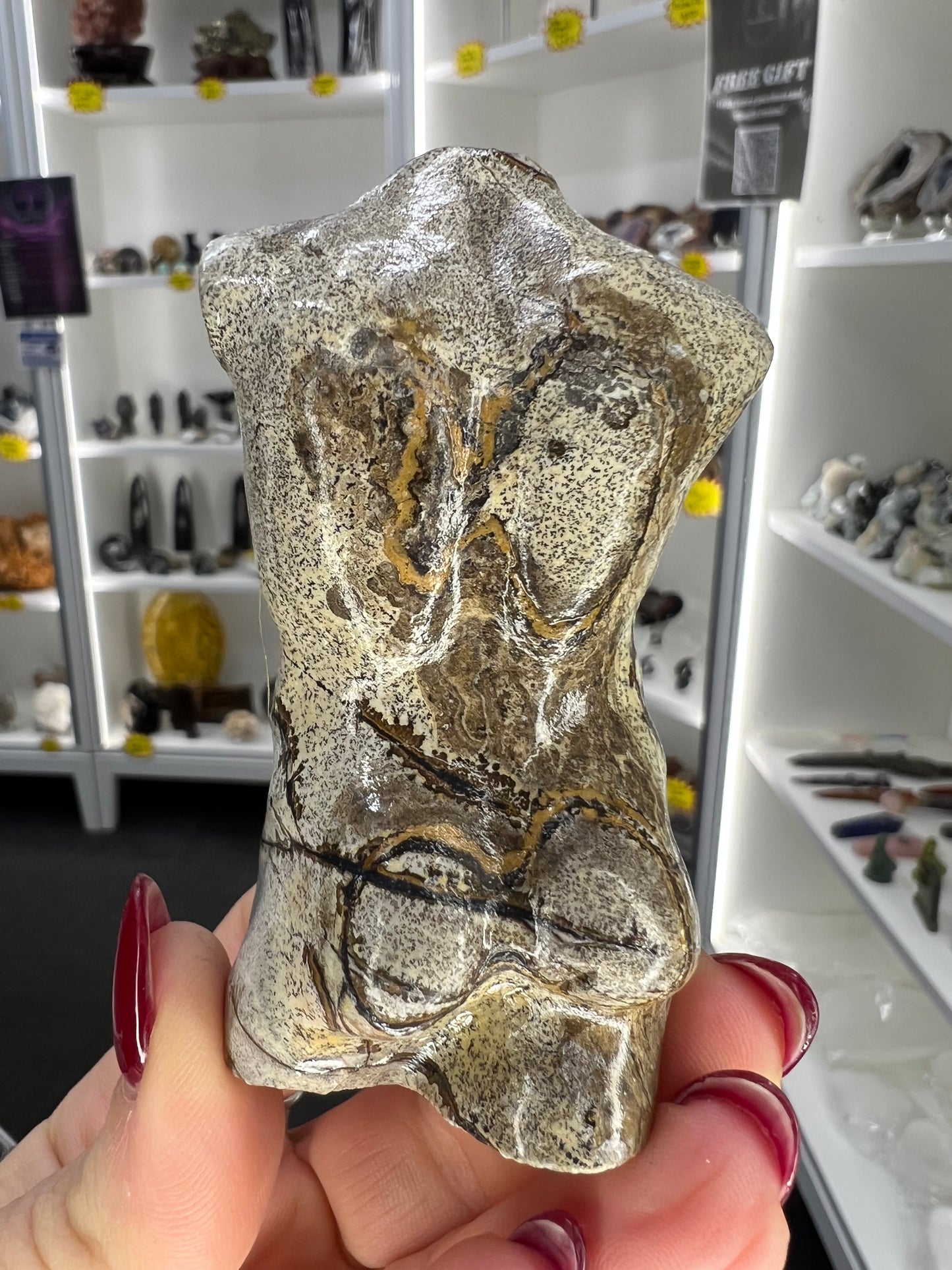 Picture Jasper Male Body