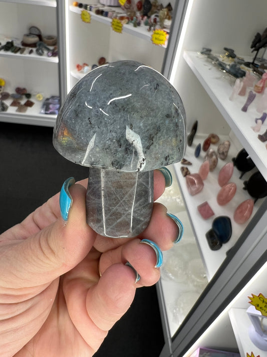 Labradorite Mushroom