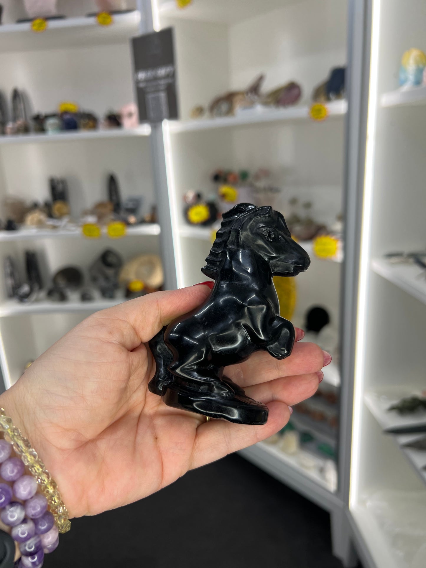 Black Obsidian Horse