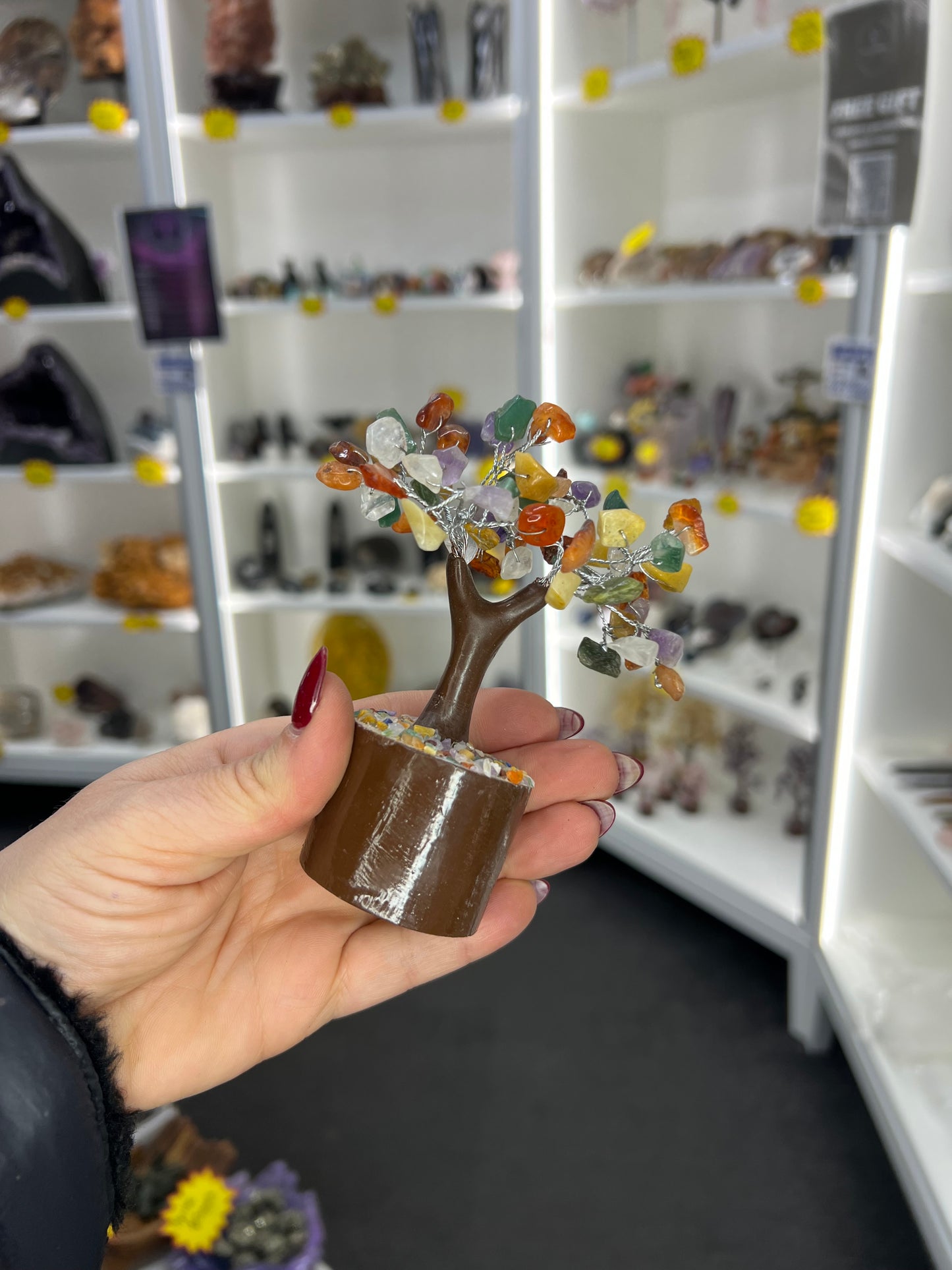 Mixed Crystal Tree