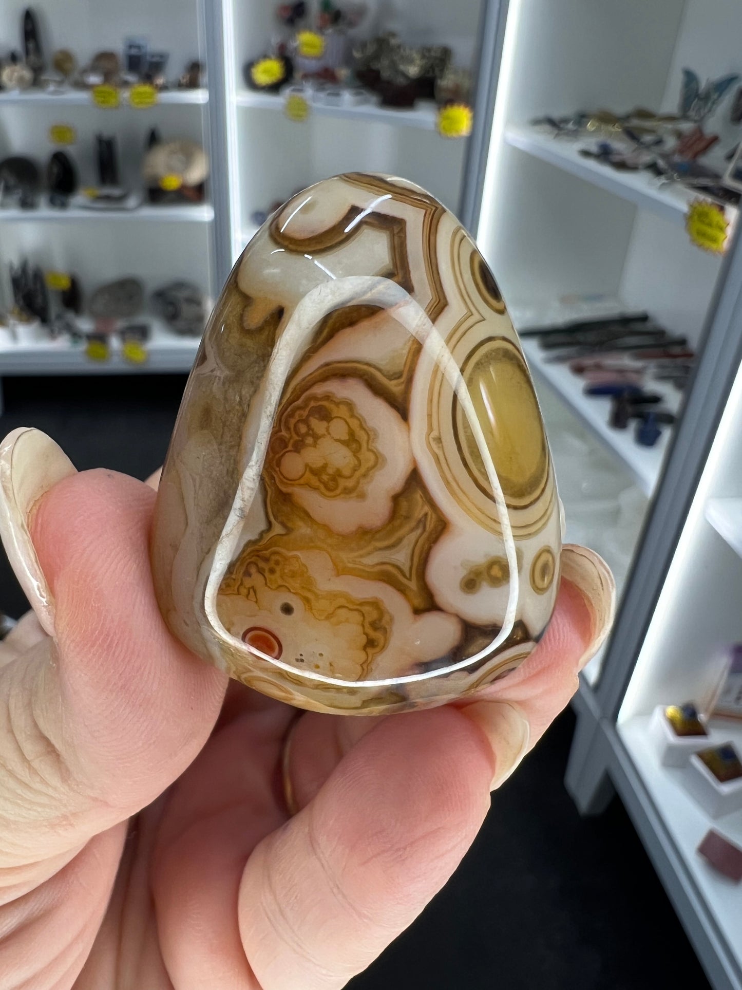 Sardonyx Little Guy