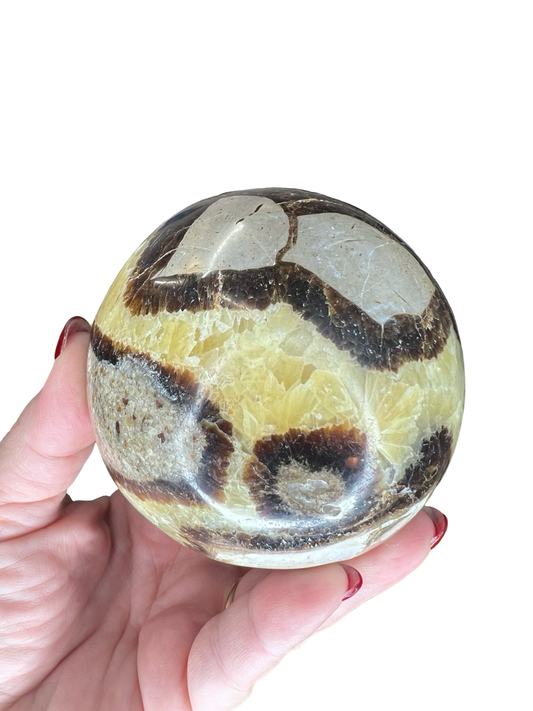 Septarian Sphere with Stand