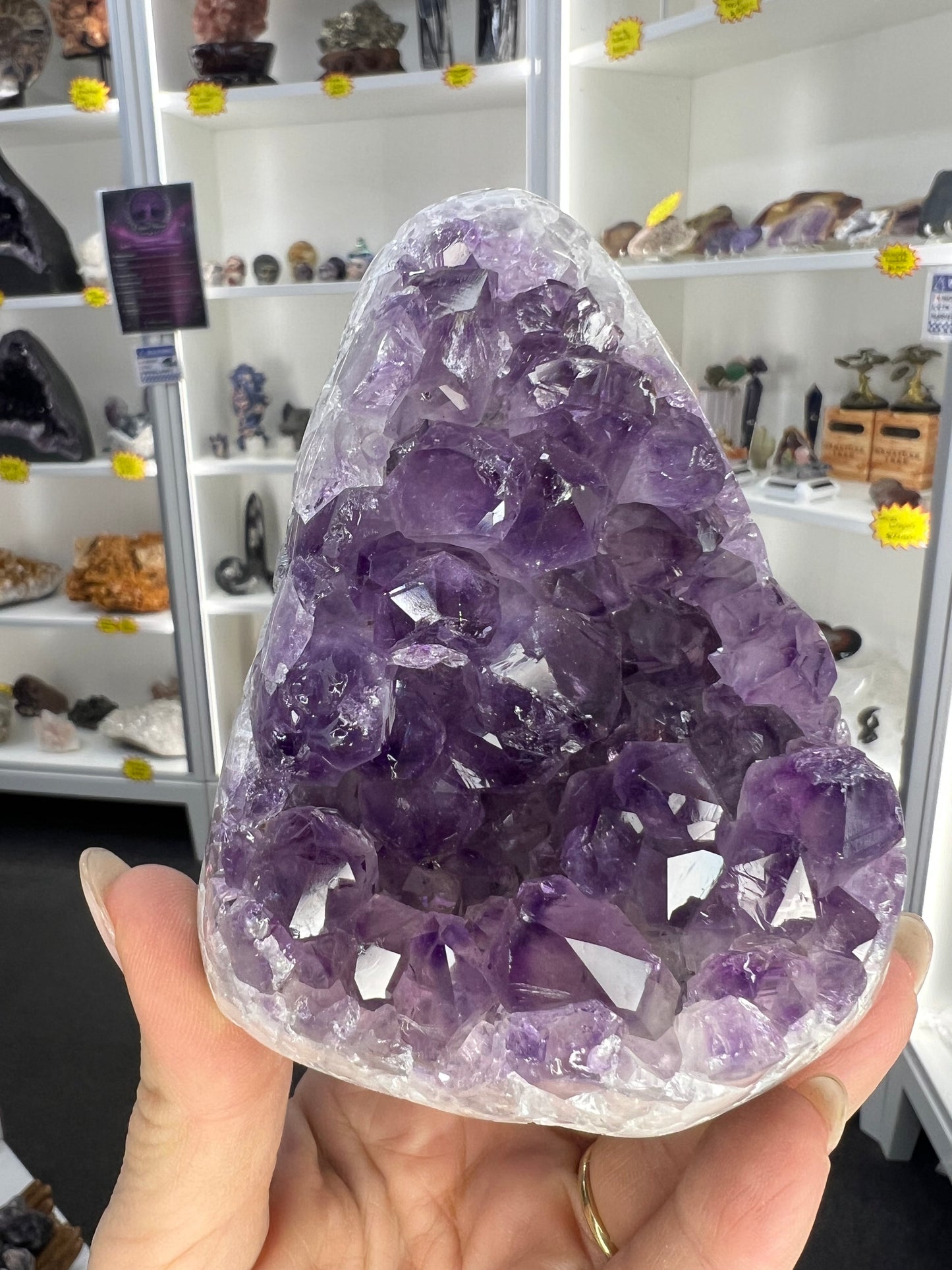 Amethyst Cluster Specimen