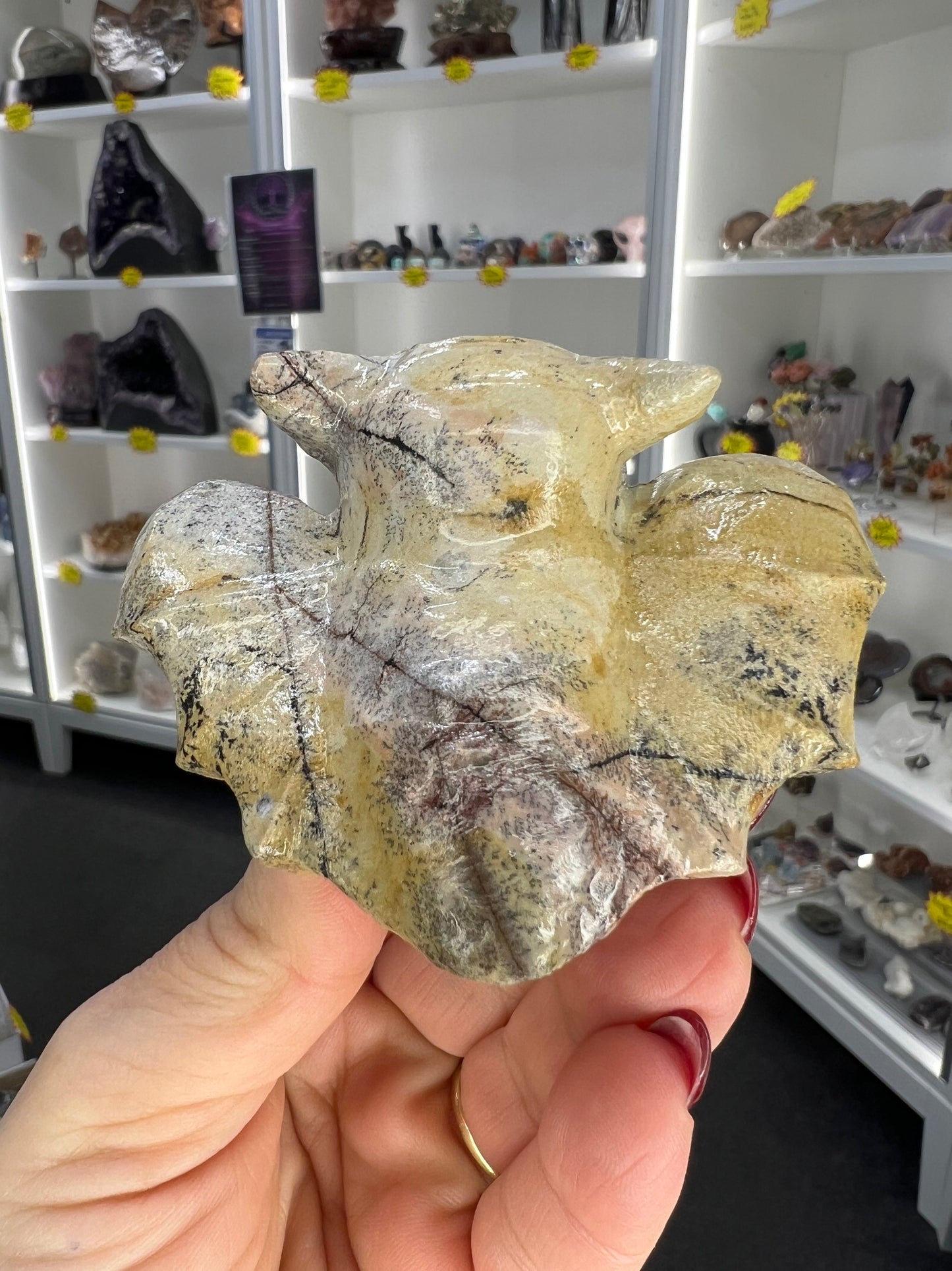 Picture Jasper Bat