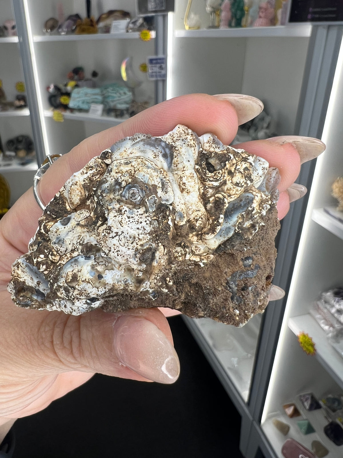 Mexican Agate Geode